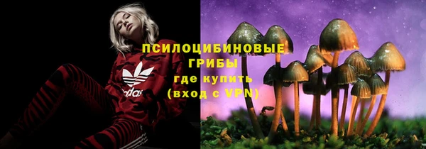 ПСИЛОЦИБИНОВЫЕ ГРИБЫ Осташков