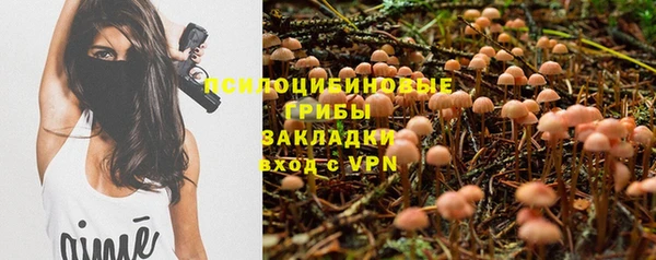 стафф Нязепетровск