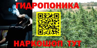 гидропоника Гатчина